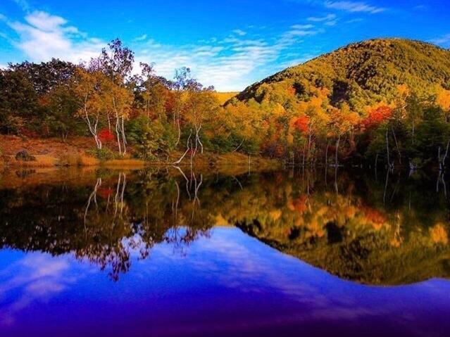Alpine Inn Mizushiro Matsumoto Dış mekan fotoğraf