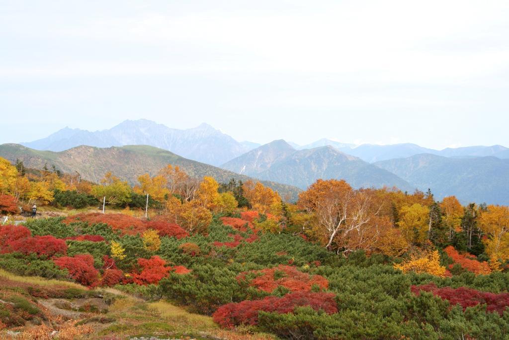 Alpine Inn Mizushiro Matsumoto Dış mekan fotoğraf