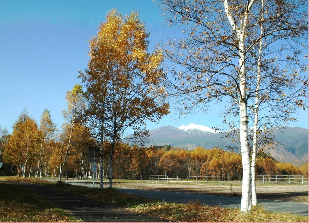 Alpine Inn Mizushiro Matsumoto Dış mekan fotoğraf