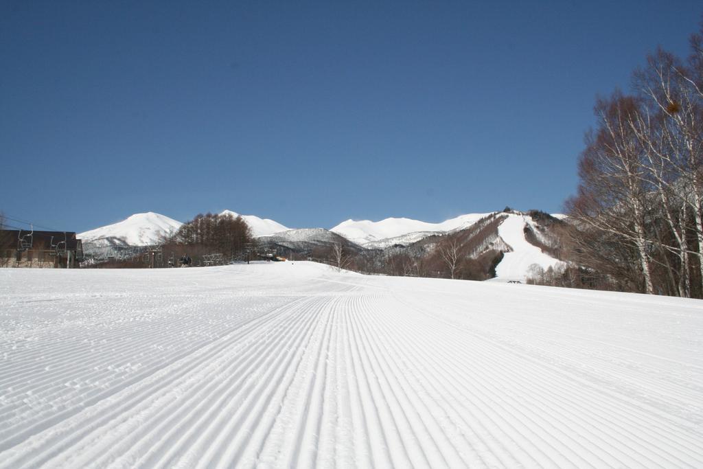 Alpine Inn Mizushiro Matsumoto Dış mekan fotoğraf