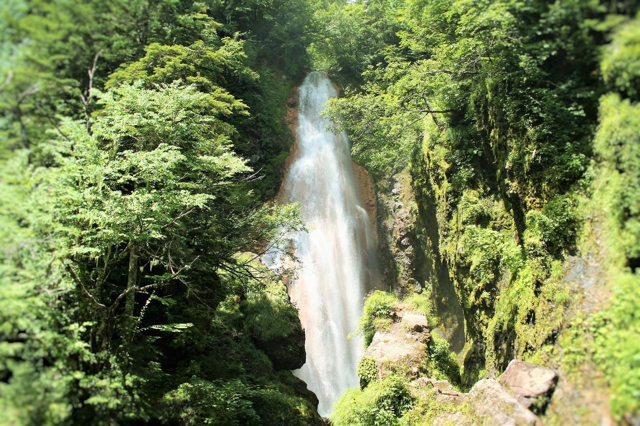 Alpine Inn Mizushiro Matsumoto Dış mekan fotoğraf